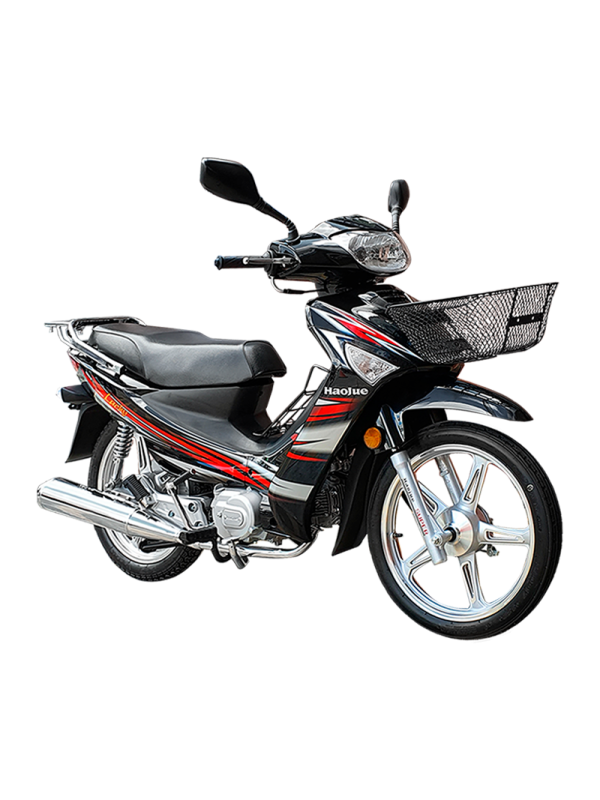 HAOJUE - HJ110-2
